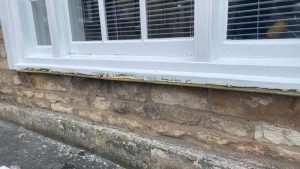 Timber restoration and resin repair